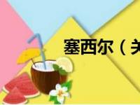 塞西尔（关于塞西尔的简介）
