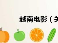 越南电影（关于越南电影的简介）