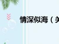 情深似海（关于情深似海的简介）