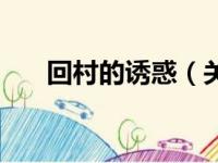 回村的诱惑（关于回村的诱惑的简介）