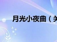 月光小夜曲（关于月光小夜曲的简介）