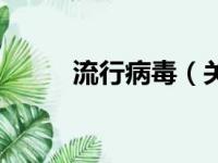 流行病毒（关于流行病毒的简介）