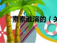 素素谁演的（关于素素谁演的的简介）