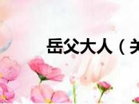 岳父大人（关于岳父大人的简介）