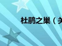 杜鹃之巢（关于杜鹃之巢的简介）