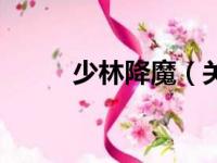 少林降魔（关于少林降魔的简介）