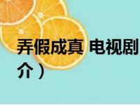 弄假成真 电视剧（关于弄假成真 电视剧的简介）