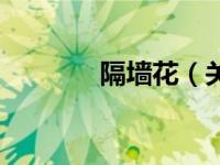 隔墙花（关于隔墙花的简介）
