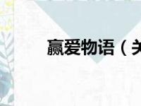 赢爱物语（关于赢爱物语的简介）