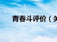 青春斗评价（关于青春斗评价的简介）