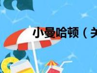 小曼哈顿（关于小曼哈顿的简介）