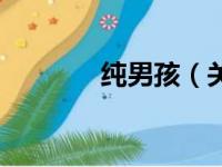 纯男孩（关于纯男孩的简介）