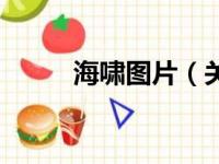 海啸图片（关于海啸图片的简介）