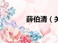 薛伯清（关于薛伯清的简介）