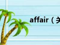 affair（关于affair的简介）