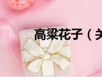 高粱花子（关于高粱花子的简介）