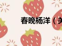 春晚杨洋（关于春晚杨洋的简介）