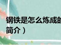钢铁是怎么炼成的（关于钢铁是怎么炼成的的简介）