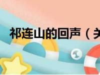 祁连山的回声（关于祁连山的回声的简介）