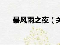 暴风雨之夜（关于暴风雨之夜的简介）