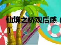 仙境之桥观后感（关于仙境之桥观后感的简介）