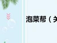 泡菜帮（关于泡菜帮的简介）