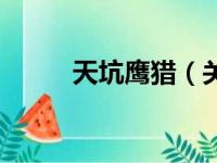 天坑鹰猎（关于天坑鹰猎的简介）