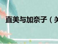 直美与加奈子（关于直美与加奈子的简介）