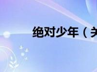 绝对少年（关于绝对少年的简介）