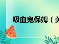 吸血鬼保姆（关于吸血鬼保姆的简介）