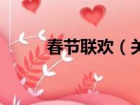 春节联欢（关于春节联欢的简介）