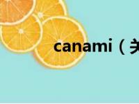 canami（关于canami的简介）