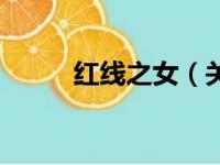 红线之女（关于红线之女的简介）