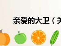 亲爱的大卫（关于亲爱的大卫的简介）