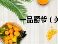 一品爵爷（关于一品爵爷的简介）