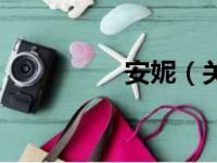 安妮（关于安妮的简介）