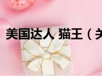 美国达人 猫王（关于美国达人 猫王的简介）