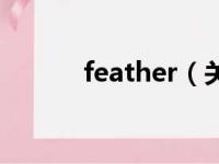 feather（关于feather的简介）