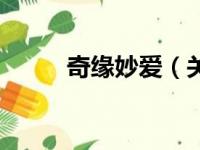 奇缘妙爱（关于奇缘妙爱的简介）