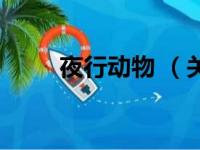 夜行动物 （关于夜行动物 的简介）