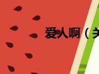 爱人啊（关于爱人啊的简介）