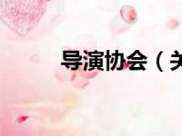 导演协会（关于导演协会的简介）