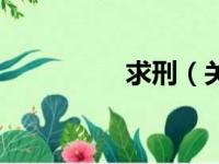 求刑（关于求刑的简介）