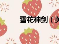 雪花神剑（关于雪花神剑的简介）