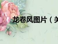 龙卷风图片（关于龙卷风图片的简介）