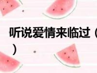 听说爱情来临过（关于听说爱情来临过的简介）