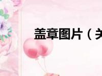 盖章图片（关于盖章图片的简介）
