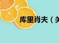 库里肖夫（关于库里肖夫的简介）