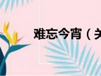 难忘今宵（关于难忘今宵的简介）