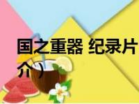 国之重器 纪录片（关于国之重器 纪录片的简介）